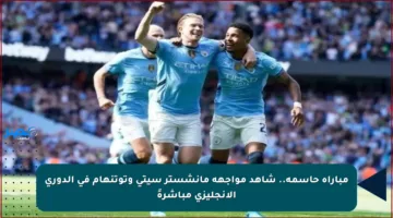 مباراة حاسمة.. شاهد مواجهة مانشستر سيتي وتوتنهام في الدوري الإنجليزي مباشرةً